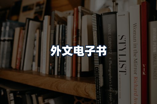 外文电子书